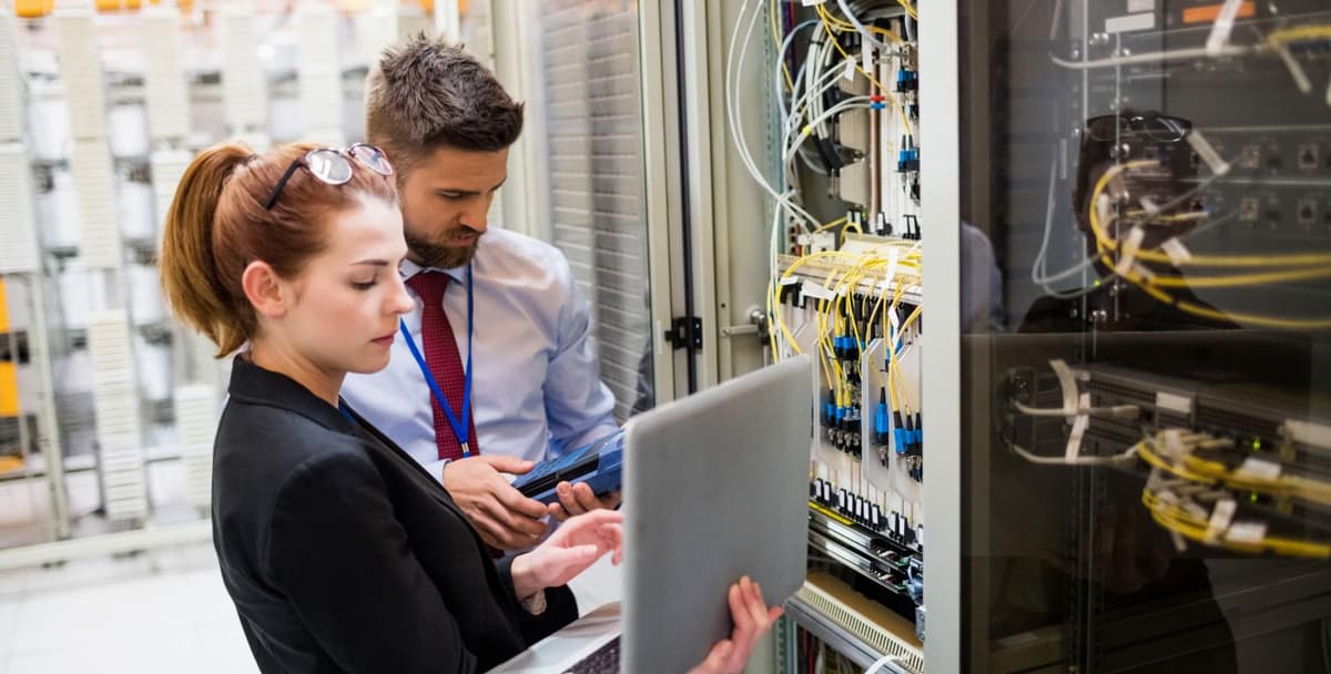 Web Hosting Section